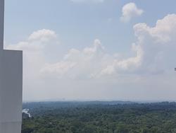 Eco Sanctuary (D23), Condominium #149670452